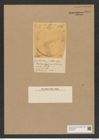 Cerataulus scaber (Grev.) cfr. Rattr. (de-Toni-Nr.: Genus 173, Species 4442) Zeichnungen Sammlung Grunow Nr. 8014 (NHMW-BOT-W0377313)